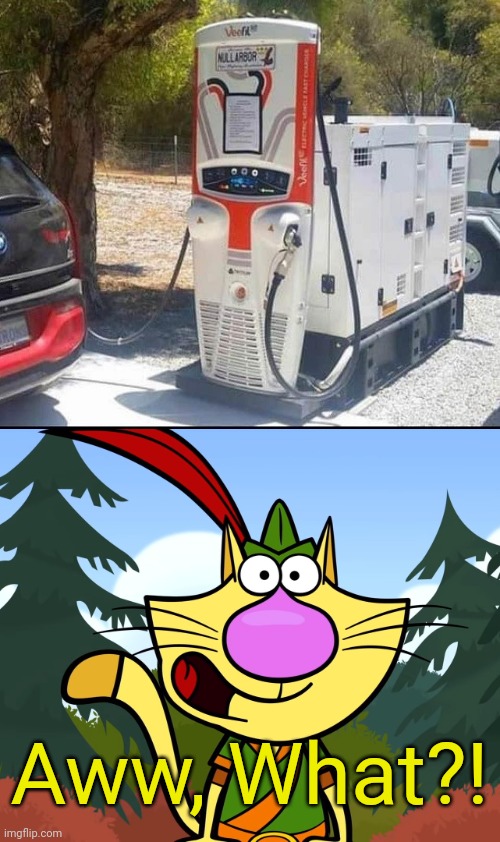 Electric Vehicle station powered up as Diesel Station?! | Aww, What?! | image tagged in no way nature cat,you had one job,combination,diesel,electric,funny | made w/ Imgflip meme maker