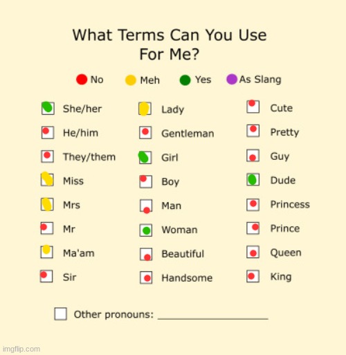 Pronouns Sheet | image tagged in pronouns sheet | made w/ Imgflip meme maker