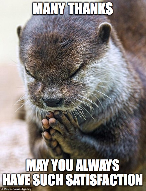 Thank you Lord Otter | MANY THANKS MAY YOU ALWAYS HAVE SUCH SATISFACTION | image tagged in thank you lord otter | made w/ Imgflip meme maker