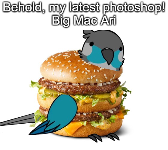 Behold, my latest photoshop!
Big Mac Ari | image tagged in big mac,ari,jaiden animations,photoshop | made w/ Imgflip meme maker