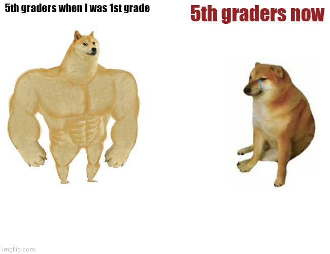 True Story | 5th graders when I was 1st grade; 5th graders now | image tagged in memes,buff doge vs cheems | made w/ Imgflip meme maker