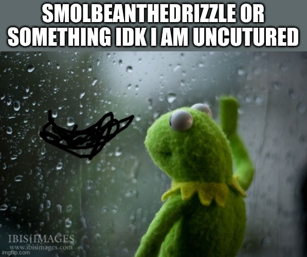 kermit window | SMOLBEANTHEDRIZZLE OR SOMETHING IDK I AM UNCUTURED | image tagged in kermit window | made w/ Imgflip meme maker