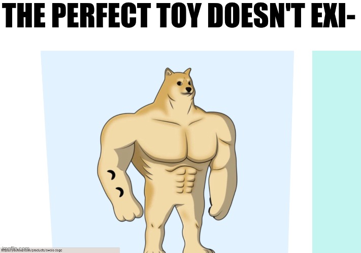 Buff Doge | THE PERFECT TOY DOESN'T EXI- | image tagged in memes | made w/ Imgflip meme maker