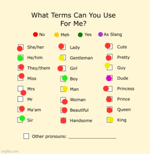 I can't center my fingers TmT (shaky hands TwT)

"Mr." Tbh dunno bout that one, not a yes or a maybe or a no. | image tagged in pronouns sheet | made w/ Imgflip meme maker