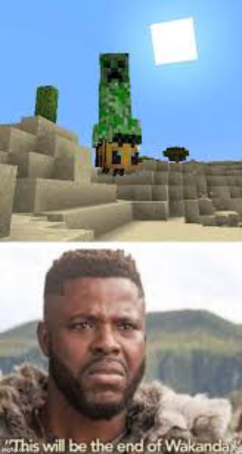 Minecraft | image tagged in funny | made w/ Imgflip meme maker