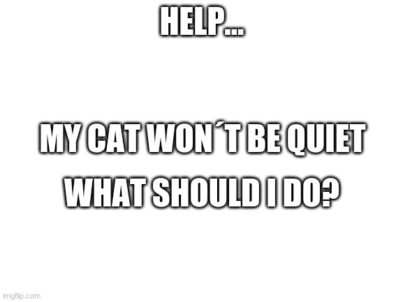Blank White Template | HELP... MY CAT WON´T BE QUIET; WHAT SHOULD I DO? | image tagged in blank white template | made w/ Imgflip meme maker