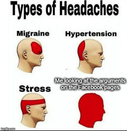 Types of Headaches meme | Me looking at the arguments
on the Facebook pages | image tagged in types of headaches meme | made w/ Imgflip meme maker