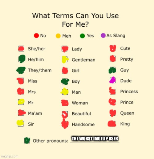 Pronouns Sheet | THE WORST IMGFLIP USER | image tagged in pronouns sheet | made w/ Imgflip meme maker