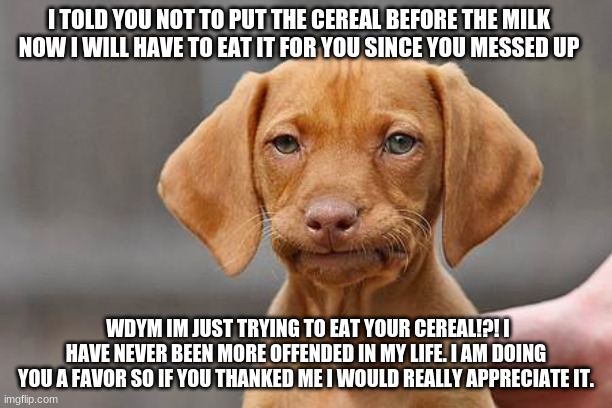 The way the dogs mind works | I TOLD YOU NOT TO PUT THE CEREAL BEFORE THE MILK NOW I WILL HAVE TO EAT IT FOR YOU SINCE YOU MESSED UP; WDYM IM JUST TRYING TO EAT YOUR CEREAL!?! I HAVE NEVER BEEN MORE OFFENDED IN MY LIFE. I AM DOING YOU A FAVOR SO IF YOU THANKED ME I WOULD REALLY APPRECIATE IT. | image tagged in dissapointed puppy | made w/ Imgflip meme maker