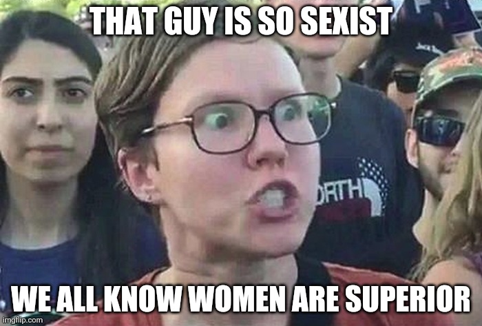 Triggered Liberal | THAT GUY IS SO SEXIST WE ALL KNOW WOMEN ARE SUPERIOR | image tagged in triggered liberal | made w/ Imgflip meme maker