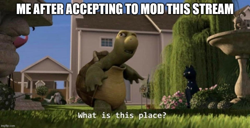 What is this place |  ME AFTER ACCEPTING TO MOD THIS STREAM | image tagged in what is this place | made w/ Imgflip meme maker