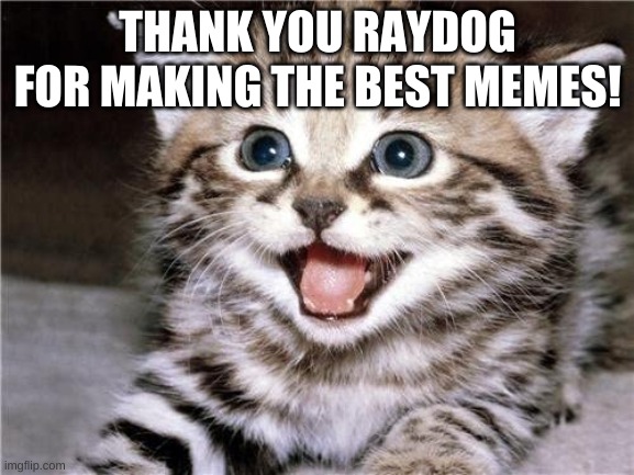 Everybody pls comment a compliment for raydog below this meme (Thanks Raydog for  Making great memes!) | THANK YOU RAYDOG FOR MAKING THE BEST MEMES! | image tagged in raydog | made w/ Imgflip meme maker