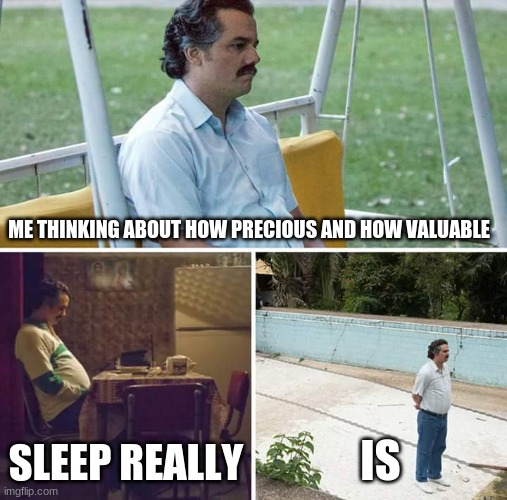 Mane I'm mad sleepy yo | ME THINKING ABOUT HOW PRECIOUS AND HOW VALUABLE; SLEEP REALLY; IS | image tagged in memes,sad pablo escobar | made w/ Imgflip meme maker