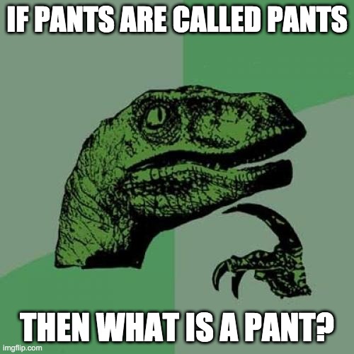 yes lol | IF PANTS ARE CALLED PANTS; THEN WHAT IS A PANT? | image tagged in memes,philosoraptor | made w/ Imgflip meme maker