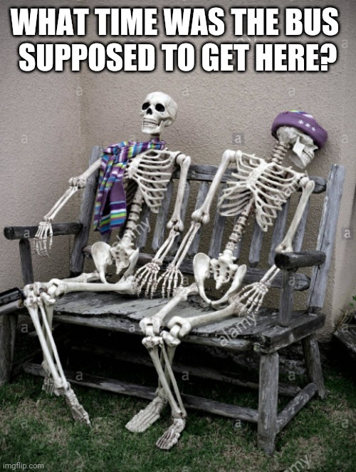 WHAT TIME WAS THE BUS 
SUPPOSED TO GET HERE? | image tagged in waiting bones | made w/ Imgflip meme maker