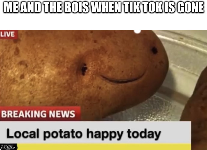 Local Potato happy today | ME AND THE BOIS WHEN TIK TOK IS GONE; S | image tagged in local potato happy today | made w/ Imgflip meme maker