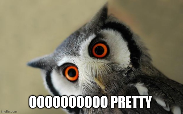Oooooooooooh really?! | OOOOOOOOOO PRETTY | image tagged in oooooooooooh really | made w/ Imgflip meme maker
