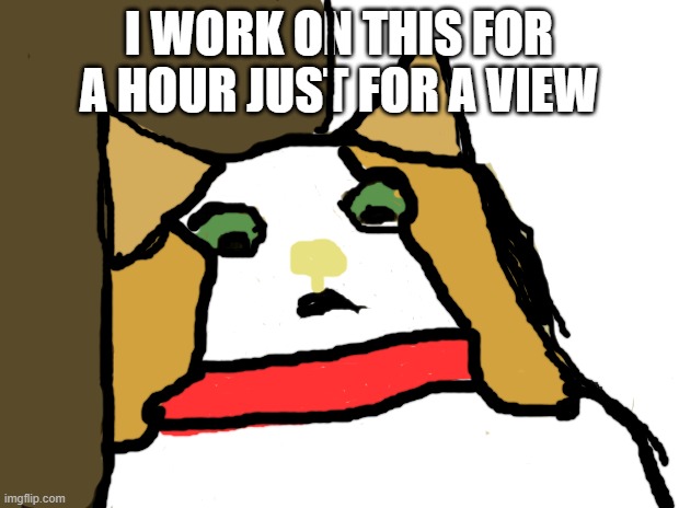 My art work | I WORK ON THIS FOR A HOUR JUST FOR A VIEW | image tagged in memes,scared cat | made w/ Imgflip meme maker