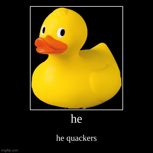 quackers! | image tagged in funny,demotivationals | made w/ Imgflip demotivational maker