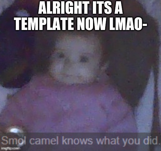 link in comments cause why not, i hope my parents dont find this ;-; | ALRIGHT ITS A TEMPLATE NOW LMAO- | image tagged in smol camel knows what you did | made w/ Imgflip meme maker