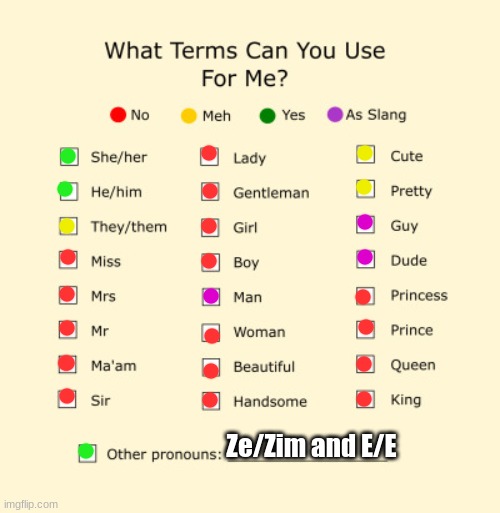 Pronouns Sheet | Ze/Zim and E/E | image tagged in pronouns sheet,lgbtq,who reads these | made w/ Imgflip meme maker
