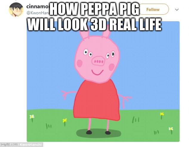 Peppa pig 3d | HOW PEPPA PIG WILL LOOK 3D REAL LIFE | image tagged in peppa pig,3d | made w/ Imgflip meme maker