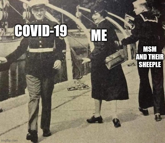 OG LookBack Meme | COVID-19 ME MSM AND THEIR SHEEPLE | image tagged in og lookback meme | made w/ Imgflip meme maker