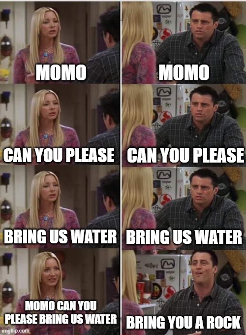 Phoebe Joey | MOMO; MOMO; CAN YOU PLEASE; CAN YOU PLEASE; BRING US WATER; BRING US WATER; MOMO CAN YOU PLEASE BRING US WATER; BRING YOU A ROCK | image tagged in phoebe joey | made w/ Imgflip meme maker