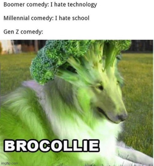 BROCOLLIE | image tagged in brocollie | made w/ Imgflip meme maker