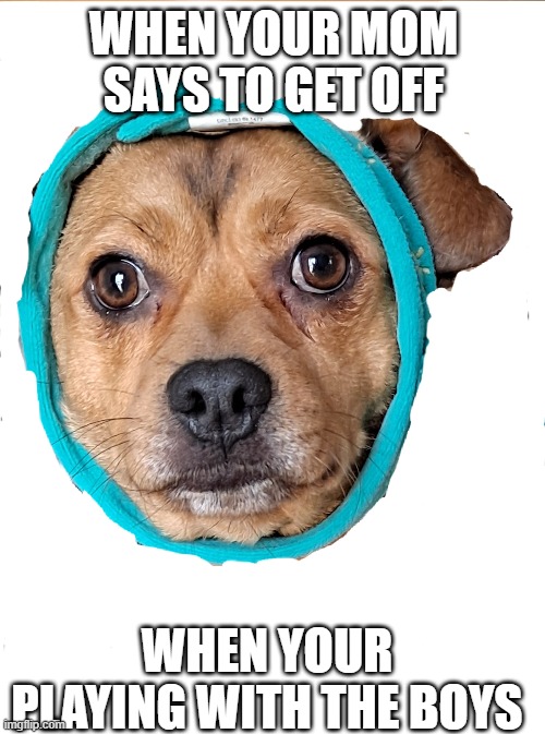 Everyone can relate to this lol. | WHEN YOUR MOM SAYS TO GET OFF; WHEN YOUR PLAYING WITH THE BOYS | image tagged in funny meme,so true,relatable | made w/ Imgflip meme maker