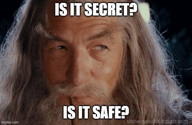 Wise Gandalf | IS IT SECRET? IS IT SAFE? | image tagged in wise gandalf | made w/ Imgflip meme maker