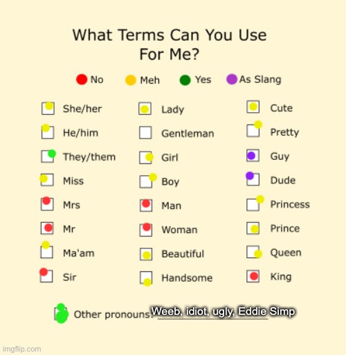 Pronouns Sheet | Weeb, idiot, ugly, Eddie Simp | image tagged in pronouns sheet | made w/ Imgflip meme maker