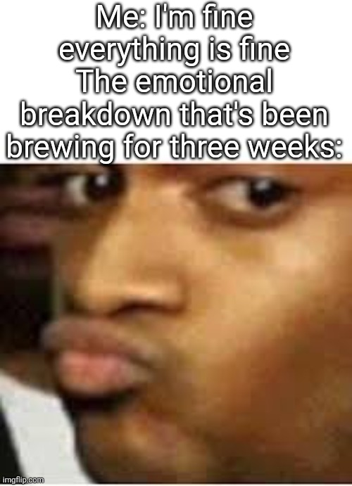 Everything is fine | Me: I'm fine everything is fine
The emotional breakdown that's been brewing for three weeks: | image tagged in oh really duck face | made w/ Imgflip meme maker