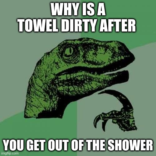 Philosoraptor Meme | WHY IS A TOWEL DIRTY AFTER; YOU GET OUT OF THE SHOWER | image tagged in memes,philosoraptor | made w/ Imgflip meme maker