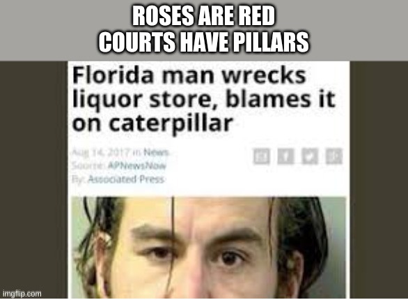  ROSES ARE RED
COURTS HAVE PILLARS | image tagged in roses are red,florida man | made w/ Imgflip meme maker