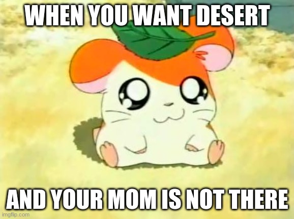 Hamtaro | WHEN YOU WANT DESERT; AND YOUR MOM IS NOT THERE | image tagged in memes,hamtaro | made w/ Imgflip meme maker