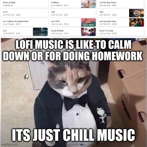 LOFI MUSIC IS LIKE TO CALM DOWN OR FOR DOING HOMEWORK ITS JUST CHILL MUSIC | image tagged in fancy cat | made w/ Imgflip meme maker