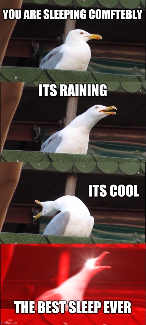 sleep | YOU ARE SLEEPING COMFTEBLY; ITS RAINING; ITS COOL; THE BEST SLEEP EVER | image tagged in memes,inhaling seagull | made w/ Imgflip meme maker