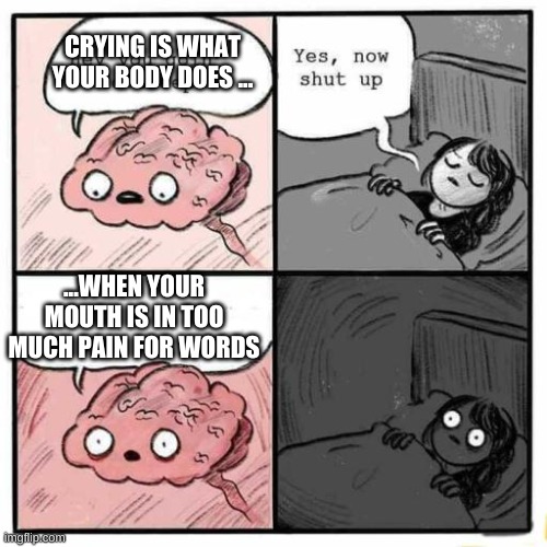Hey you going to sleep? | CRYING IS WHAT YOUR BODY DOES ... ...WHEN YOUR MOUTH IS IN TOO MUCH PAIN FOR WORDS | image tagged in hey you going to sleep | made w/ Imgflip meme maker