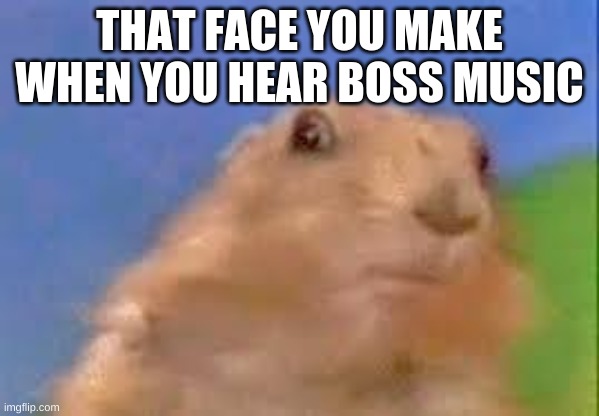 Dramatic Chipmunk | THAT FACE YOU MAKE WHEN YOU HEAR BOSS MUSIC | image tagged in dramatic chipmunk | made w/ Imgflip meme maker
