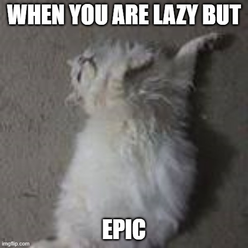 Polly The Dab Cat | WHEN YOU ARE LAZY BUT; EPIC | image tagged in polly the dab cat | made w/ Imgflip meme maker