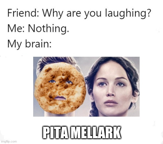 pita mellark | PITA MELLARK | image tagged in why are you laughing template | made w/ Imgflip meme maker