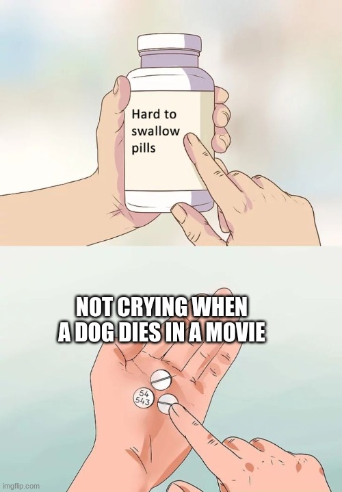 Hard To Swallow Pills | NOT CRYING WHEN A DOG DIES IN A MOVIE | image tagged in memes,hard to swallow pills | made w/ Imgflip meme maker