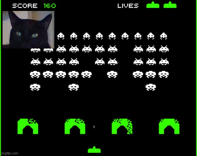 My cat likes gaming | image tagged in cat gamer,gaming,space invaders | made w/ Imgflip meme maker