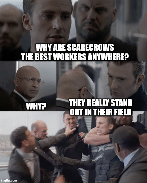 Captain america elevator | WHY ARE SCARECROWS THE BEST WORKERS ANYWHERE? WHY? THEY REALLY STAND OUT IN THEIR FIELD | image tagged in captain america elevator | made w/ Imgflip meme maker