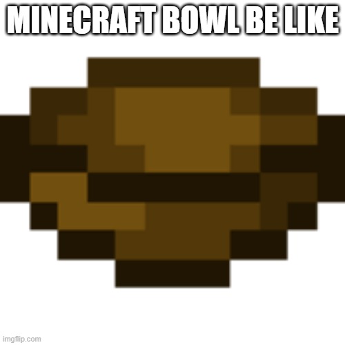 bowl | MINECRAFT BOWL BE LIKE | image tagged in bowl,minecraft | made w/ Imgflip meme maker
