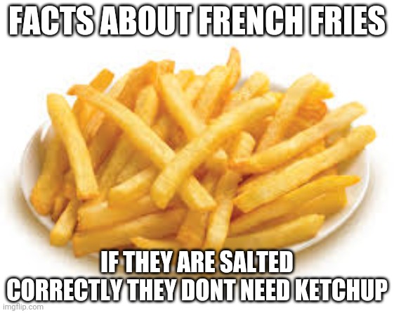 french fries | FACTS ABOUT FRENCH FRIES; IF THEY ARE SALTED CORRECTLY THEY DONT NEED KETCHUP | image tagged in french fries | made w/ Imgflip meme maker