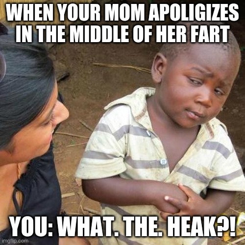 Third World Skeptical Kid | WHEN YOUR MOM APOLIGIZES IN THE MIDDLE OF HER FART; YOU: WHAT. THE. HEAK?! | image tagged in memes,third world skeptical kid | made w/ Imgflip meme maker