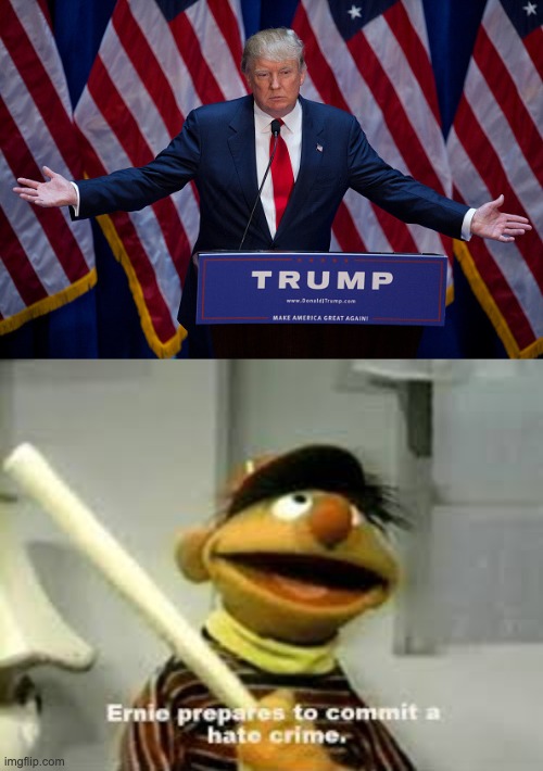 I hate donald trump | image tagged in donald trump,ernie prepares to commit a hate crime | made w/ Imgflip meme maker