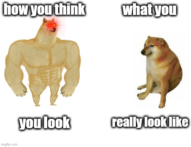 Buff Doge vs. Cheems | how you think; what you; really look like; you look | image tagged in memes,buff doge vs cheems | made w/ Imgflip meme maker